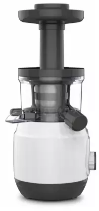 Sharbat chiqargich Moulinex ZU150110 Kelesda