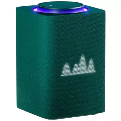 Max Zigbee bilan YNDX-00053 Green Yandex Stansiyasi Max Zigbee bilan YNDX-00053 Green Yandex Stansiyasi