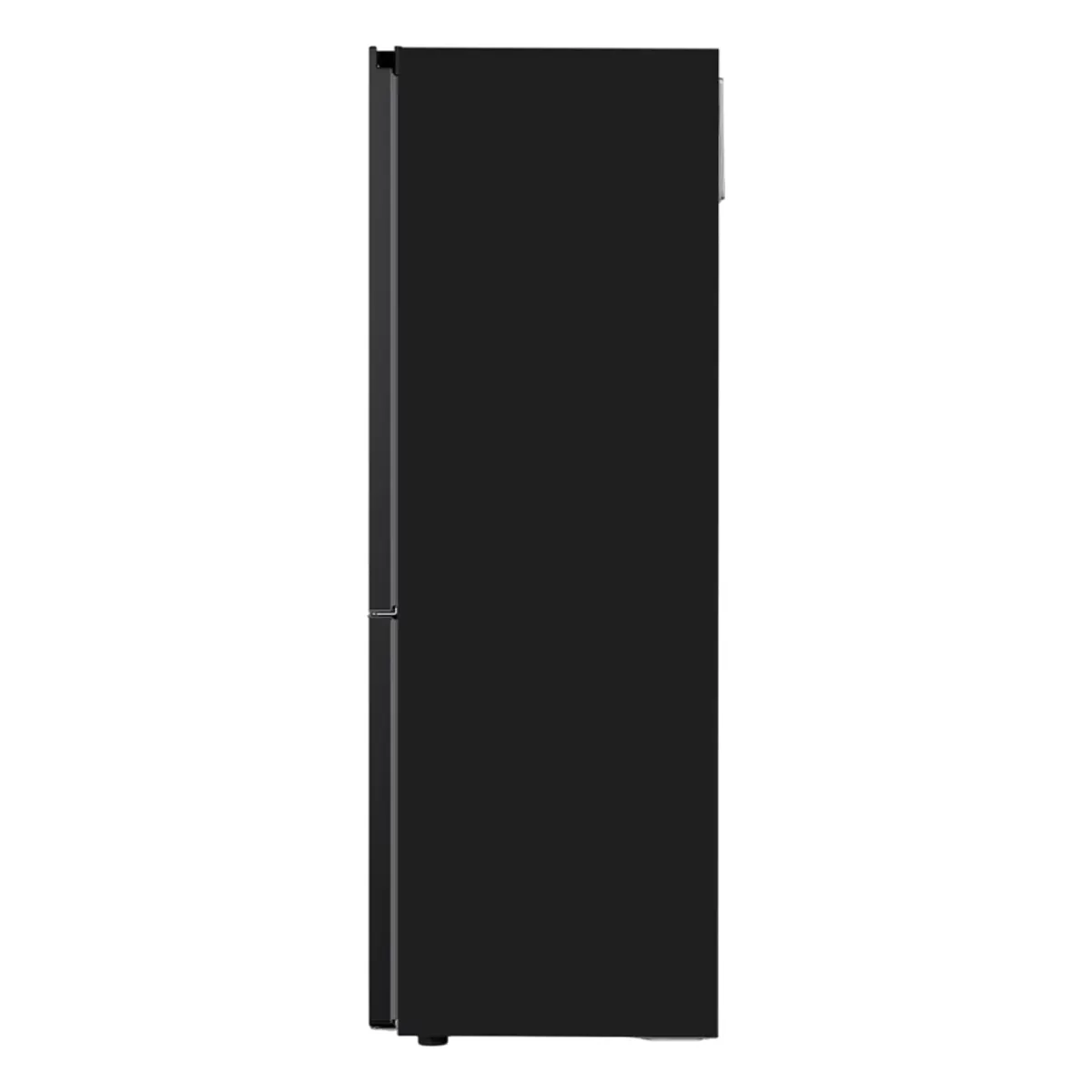 LG GC-B459FTPW Мuzlatgichi 